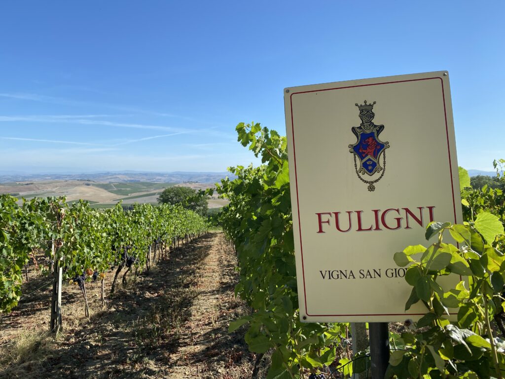 Fuligni 5